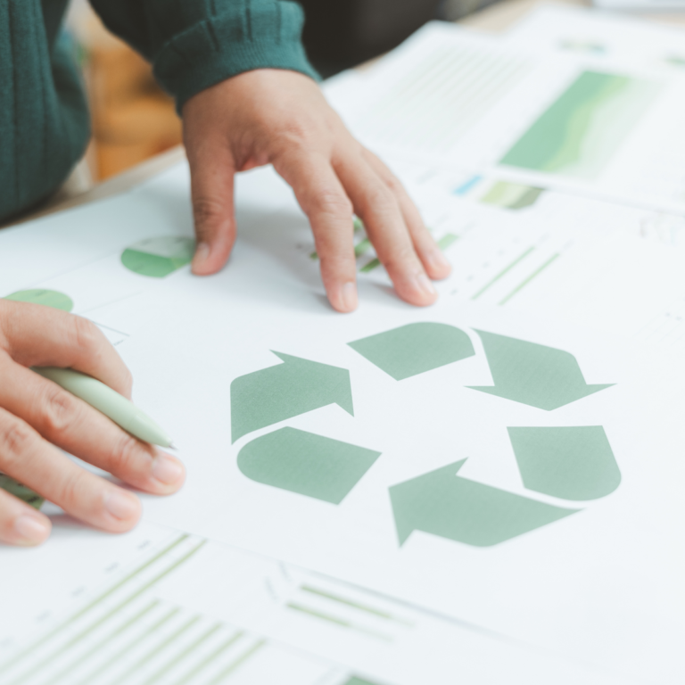 Environment and sustainability education